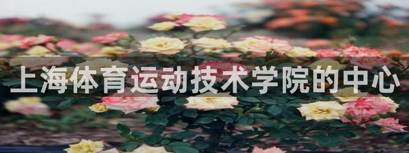 77体育app下载官网：上海体育运动技术学院的中心