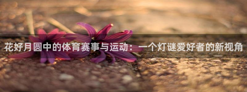 77体育官网：花好月圆中的体育赛事与运动：一个灯谜爱好者的新视角