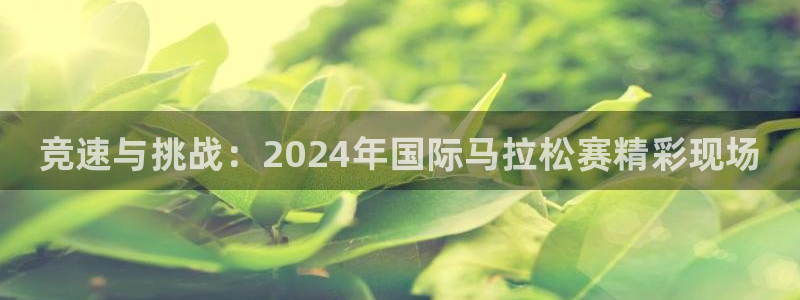 77体育app下载官网：竞速与挑战：2024年国际马拉松赛精彩现场
